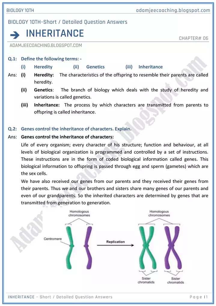 inheritance-short-and-detailed-answer-questions-biology-10th