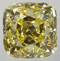 Florentine Diamond - | The Economic Times