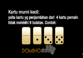 Kartu Murni Kecil Domino99