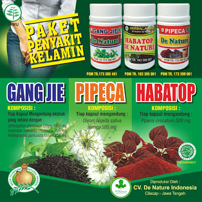 Obat sipilis alam alami