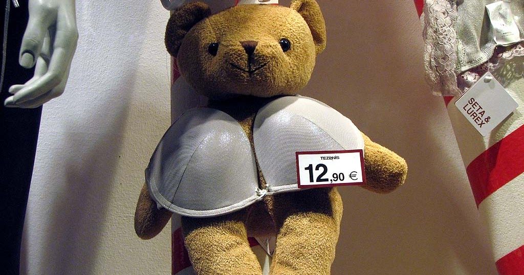 Livorno Daily Photo: Teddy Bear Wears a Bra