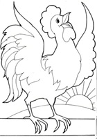 gallo