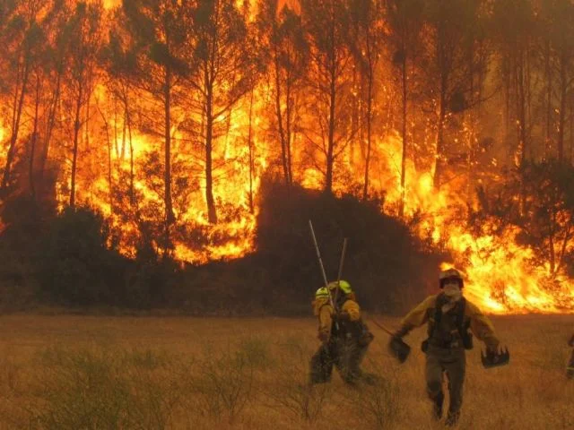 Incendio forestal