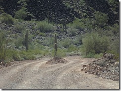 DSCF2151