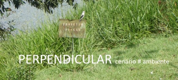PERPENDICULAR cenário#ambiente