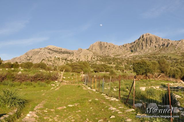 El Cintillo - Cerro de Los Batanes - Ubrique - Calzada Romana