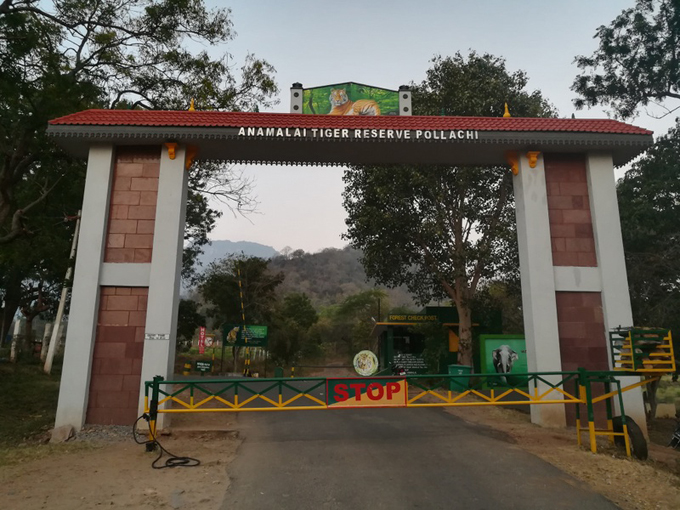 Anamalai Wildlife Sanctuary|Indira Gandhi Wildlife Sanctuary and National Park