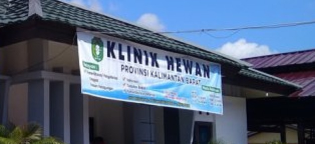 Klinik Hewan KalBar Sigap Layani Hewan Peliharaan Kucing ...