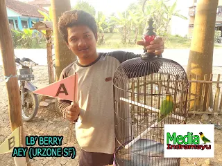 hasil lomba burung klaten, hasil lomba burung terbaru 2018, hasil lomba burung sragen, hasil lomba rajawali indonesia, burung new, jadwal lomba burung, daftar juara bnr semarang, hasil lomba agrobur, daftar juara bnr award 2017, daftar juara lomba burung kapolres cup sragen, kontes burung surabaya, video kontes burung lovebird, kontes burung murai, kontes burung anis, kontes burung kacer, kontes burung pleci, kontes burung kenari, kontes burung merpati, kontes burung konin, hasil lomba piala kapolres metro jakarta selatan, piala kapolres metro jakarta selatan, daftar juara piala kapolres metro jakarta selatan, daftar pemenang piala kapolres metro jakarta selatan, latber kalen sepur bc, latber ksbc, latpres kalen sepur bc, latpres ksbc, daftar juara latber exclusive kalen sepur bc, hasil lomba latber kalen sepur bc, hasil lomba ksbc, daftar juara latber ksbc, daftar pemenang latber ksbc, latber sakti bc, lomba burung di sakti bc, lokasi gantangan sakti bc, daftar juara latber sakti bc, daftar pemenang latber sakti bc, hasil lomba latber sakti bc, daftar nama nama pemenang latber sakti bc, lomba burung indramayu, kontes burung indramayu