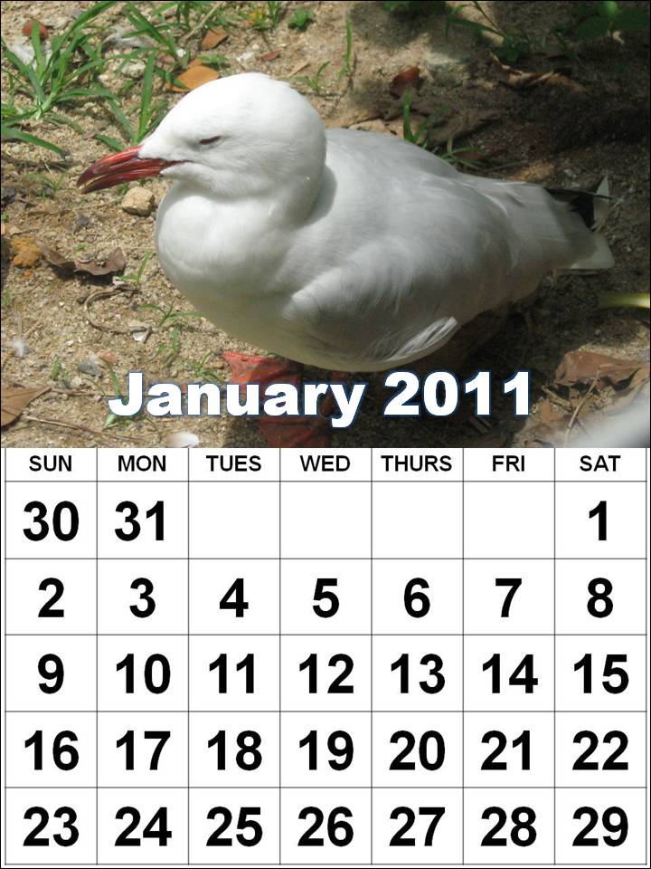 2011 calendar printable january. january 2011 calendar uk.