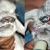 Rosto natalino! Bode mutante nasce com 'barba' branca, e é comparado ao Papai Noel