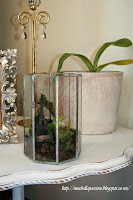Mini Terrarium