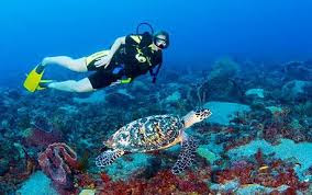 Caribbean Scuba Diving