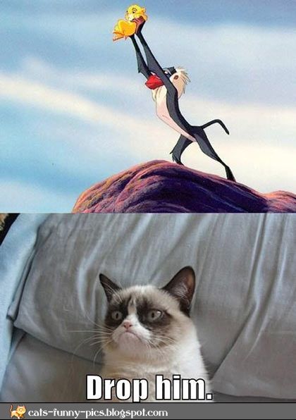 grumpy cat Lion King