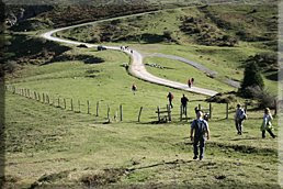 A la izquierda de la pista se inicia una senda