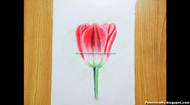 Pencil Drawings In Flowers