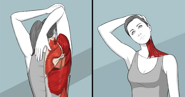 Follow These Exercises And Your Body Will Be Flexible At Any Age