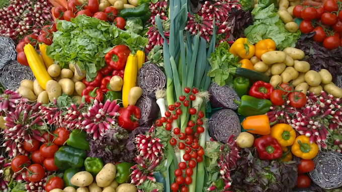 Exploring the Benefits of Plant-Based Diets