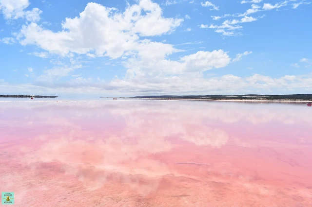 Hutt Lagoon, Western Australia