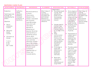 Asthma nursing care plan - Nursing Care Plan Examples