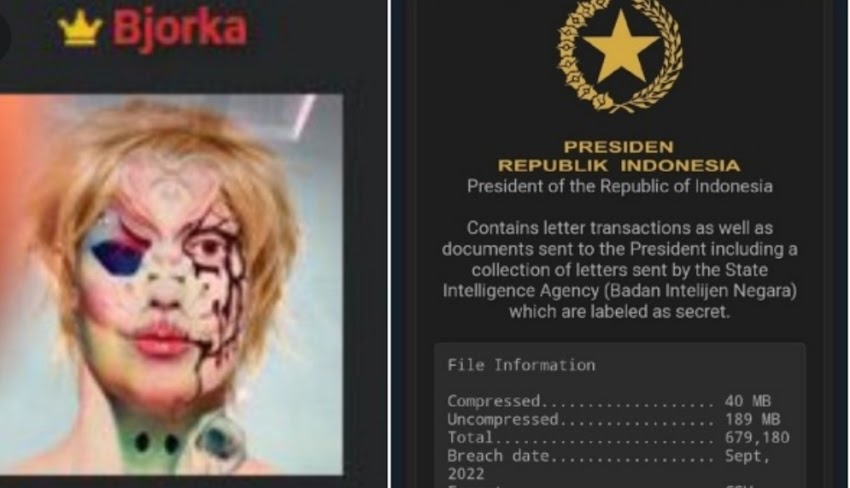 Akun twitter dan instagram peretas data pemerintah indonesia @bjorkanism terkena suspend! 