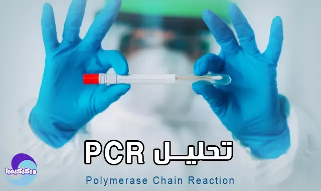 PCR test