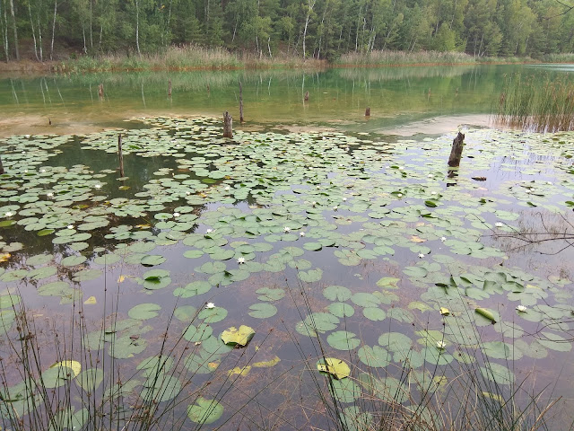 Park Krajobrazowy Łuk Mużakowa, Kopalnia Babina