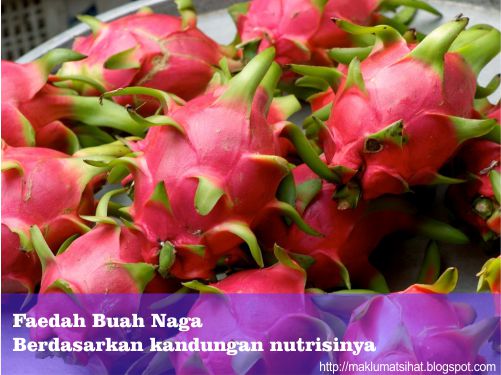 Faedah Buah Naga Berdasarkan kandungan nutrisinya