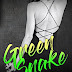Vedi recensione Green Snake (Darkest Night Vol. 3) PDF