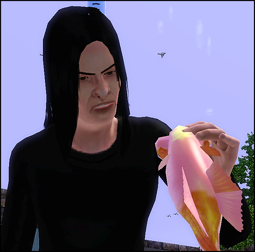 Goldfish4