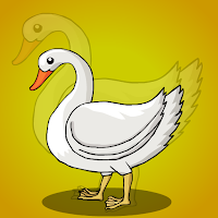 White Swan Bird Rescue Wa…