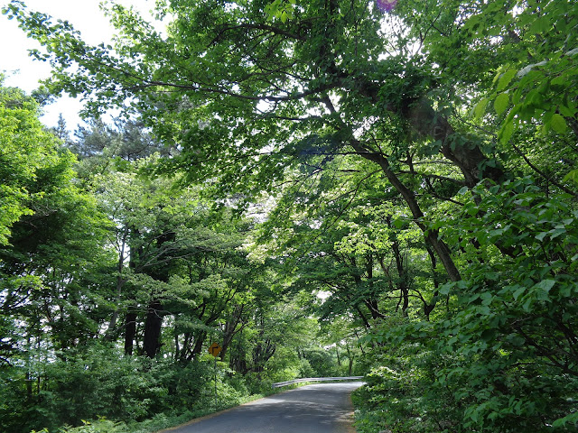 大山環状道路を帰ります