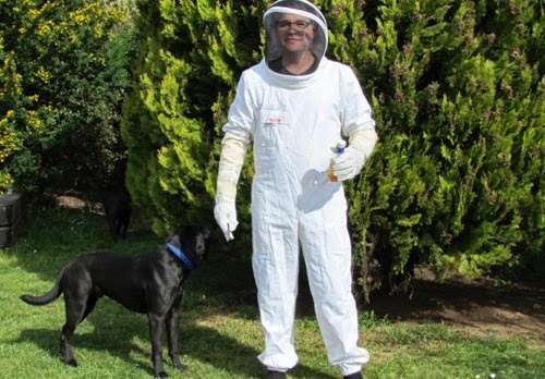honey1 honey1