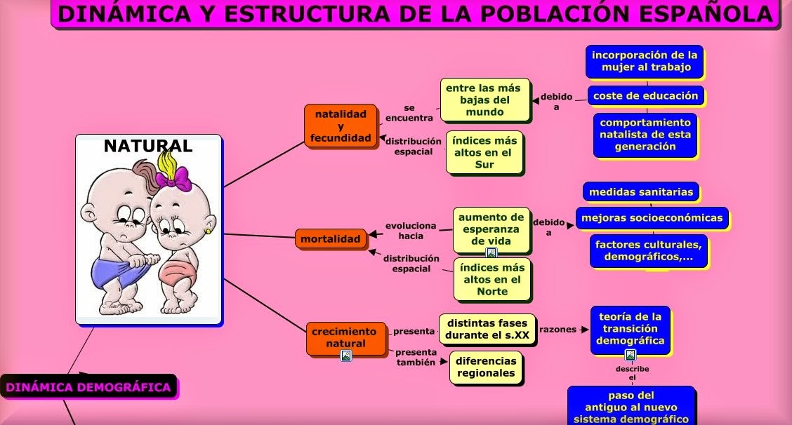 http://www.iesgrancapitan.org/profesores/bvaquero/bloggeografia/temasgeografia/esquemasinteractivos20132014/dinamicayestructuradelapoblacionespanola/dinamicayestructuradelapoblacionespanola.html