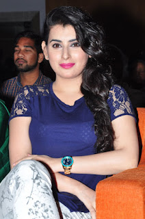 nannu vadili neevu polevule movie audio launch photos