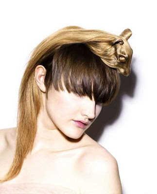 Creative hairstyle model