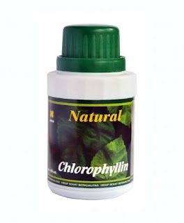 natural-chlorophyllin-nasa-natural-nusantara-herbal-distributor-agen-natural-stockis-obat-sehat-sembuh