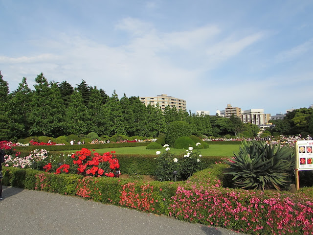 Shinjuku-gyoen