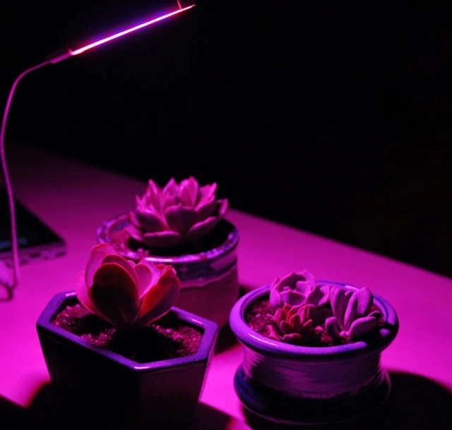  5V 2.5W 10 Red 4 Blue Portable USB LED Plant Grow Lamp for Home Office Garden Greenhouse 3