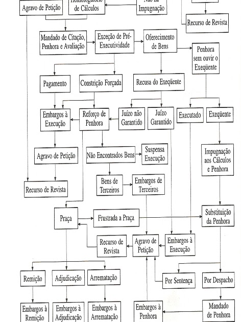 Fluxograma Trabalhista Execução  Lunna Chat