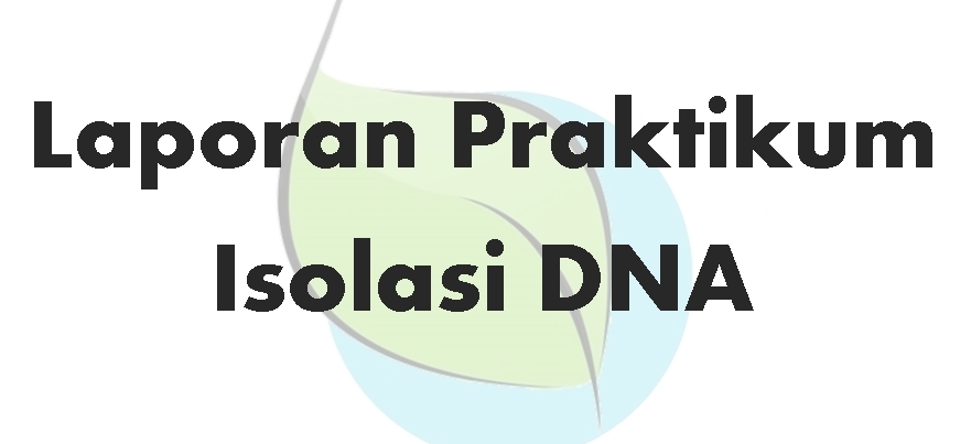 Contoh Laporan Praktikum Genetika Isolasi DNA Tumbuhan 