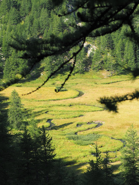 Verdon, gorges du verdon, annot, castellane, durance, mercantour parc national, les grès d’annot, la palud sur verdon, gieren, lammergieren, monniksgieren, alpenmarmot, gems, wolf, wolven, colmars les alpes, Col d'Allos,  Barcelonette, Pic des Trois Évêchés, Tête de la Sestrière, Mont Pelat,  alpensneeuwhoenen, Lac d'Allos, Cascade de la Lance, Route des Crêtes du Verdon, Samson passage, de Styx,