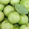 Jambu Biji Murah