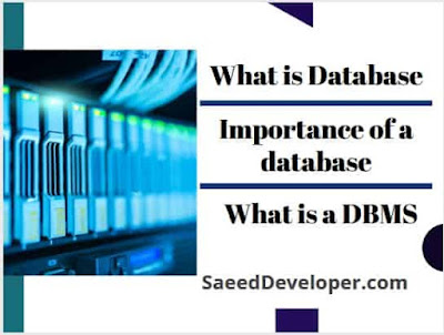 what is database