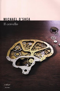 Il cervello