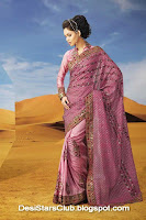 Latest Diwali Sarees Collection