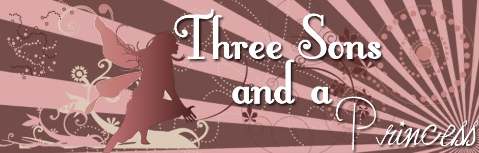 Three Sons And A Princess Blogspot