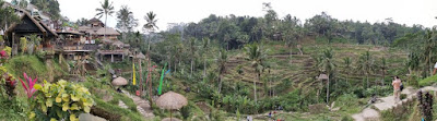 Tegalalan Rice Terraces o Arrozales de Tegalalan. Isla de Bali. Indonesia.