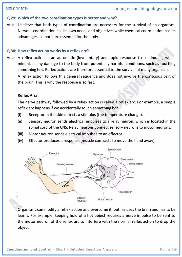 coordination-and-control-short-and-detailed-answer-questions-biology-10th