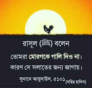 ইসলামিক বাংলা লেখা ছবি